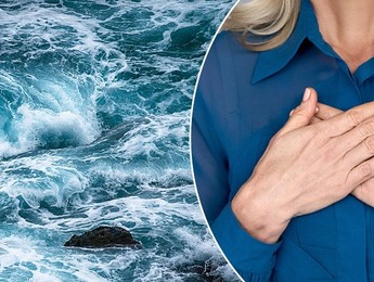 Artikelbild NEU – Achtsames Selbstmitgefühl bei Stress & Burnout